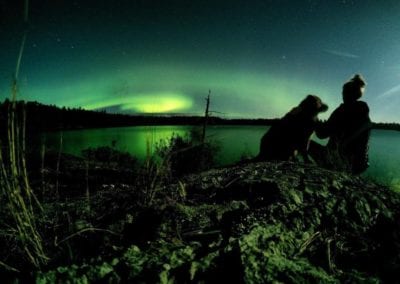 Gorgeous night sky with aurora borealis