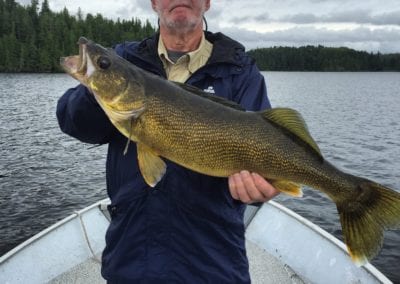 Fat walleye caught on the Lower Manitou Lake