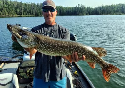 Fisherman with great northern pike in Ontario Canada