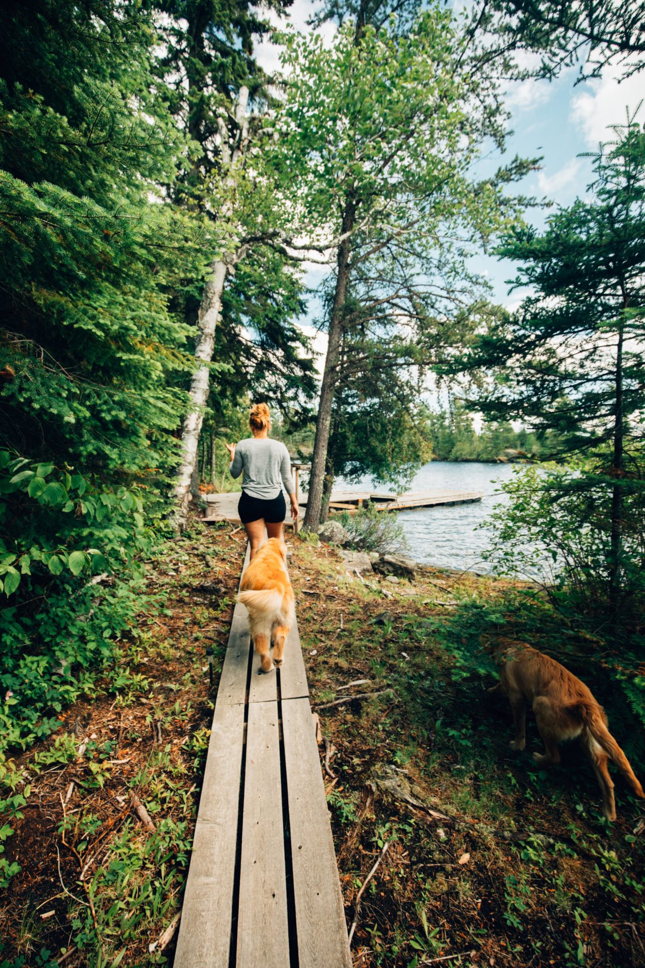 Guest Cabins Manitou Weather Station