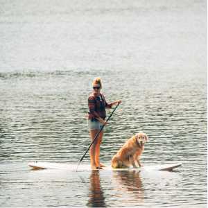 Stand Up Paddle Boarding in Ontario