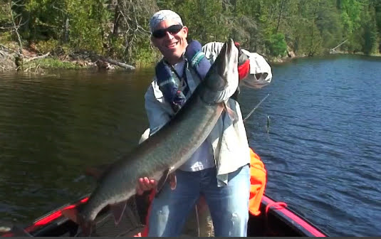 BigDaddyFish1
