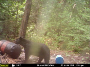 MOULTRIE DIGITAL GAME CAMERA