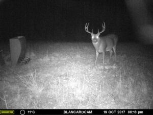 MOULTRIE DIGITAL GAME CAMERA