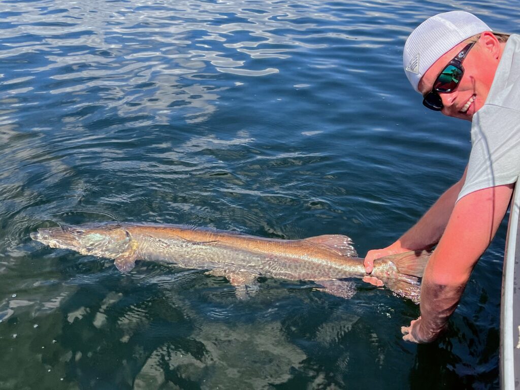Tanner Muskie Release